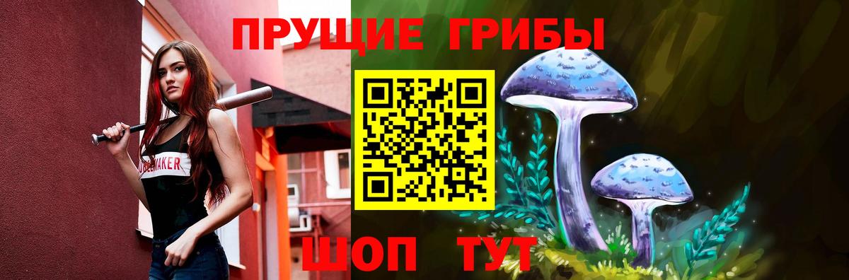 цена   Вход с VPN  Коммунар  Псилоцибиновые грибы MAGIC MUSHROOMS 